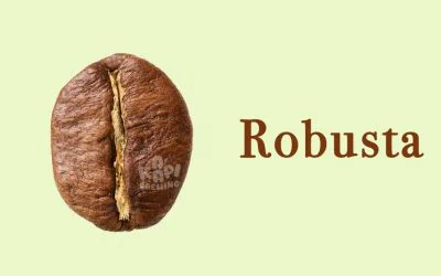 പരിചയപ്പെടാം: റോബസ്റ്റ കോഫി അഥവ കോഫിയ കനെഫോറ