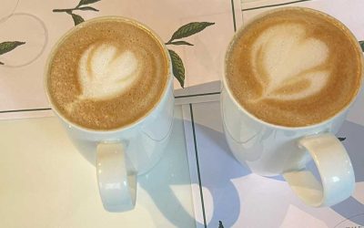 Bean to Cup: The Journey of Coffee Beans