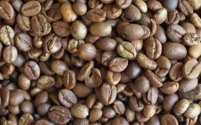 Best Coffee Bean for French Press