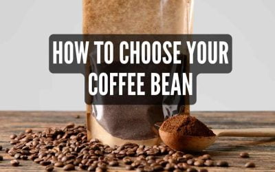 How to Choose Your Coffee Bean: An Up-to-Date Guide